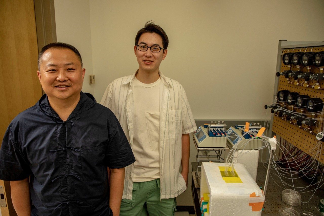 Dr. Lu and Bohan