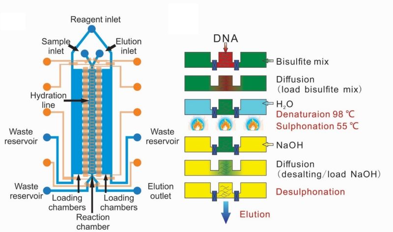 Figure from the 2018 Nature Biomedical Engineering brain methylomes paper