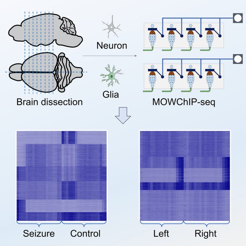 Figure from the 2024 Cell Reports Methods epigenomic tomography paper