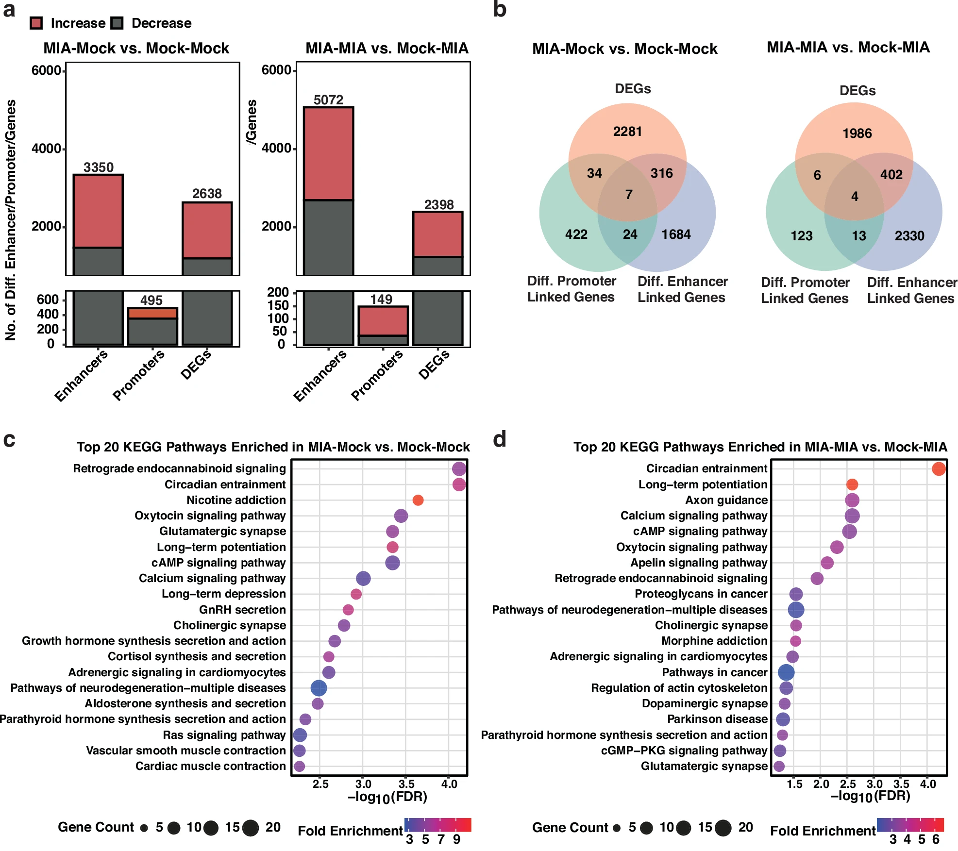 Figure 2 from the gestational immune activation paper