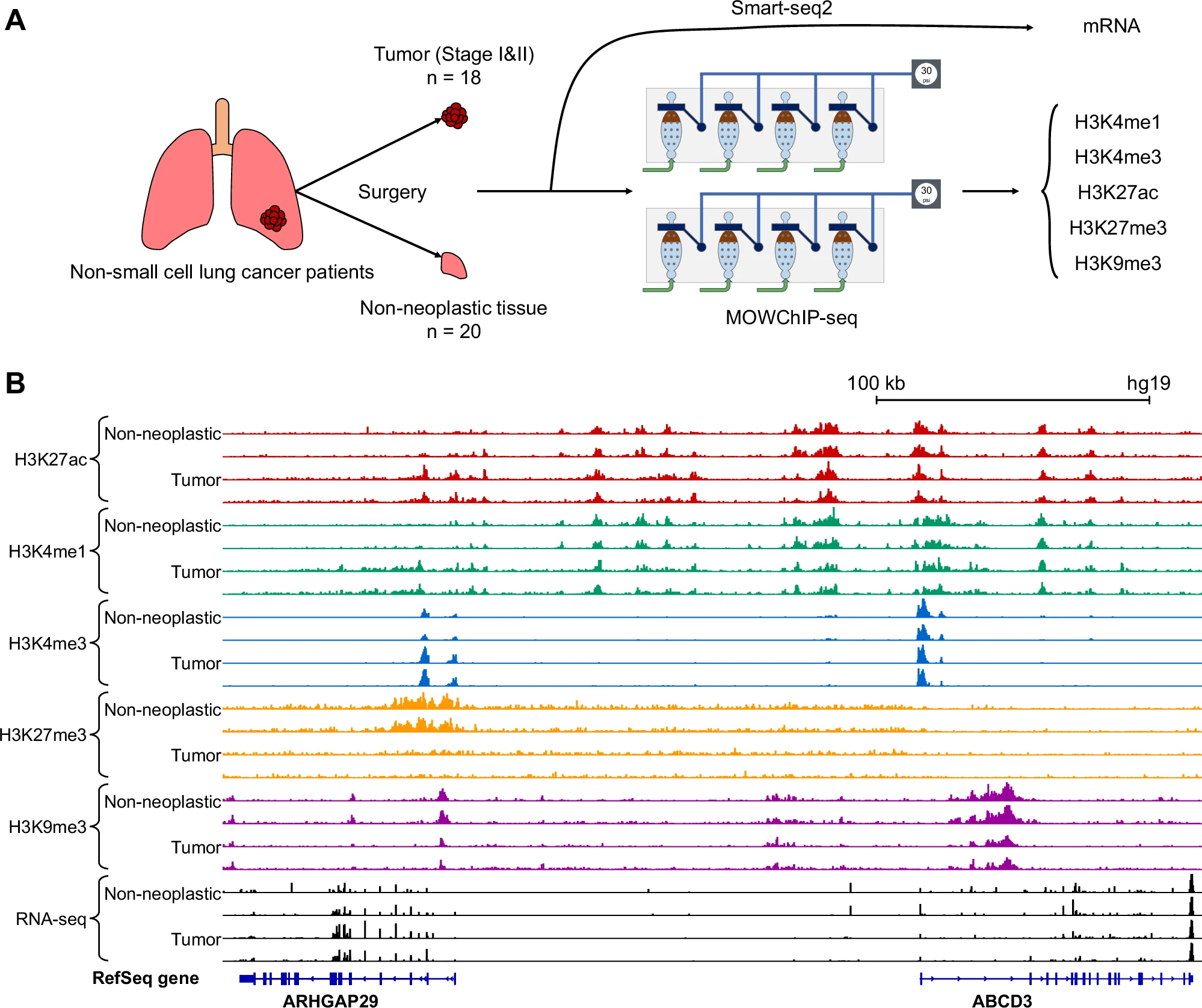 Figure 1 from the lung tumors multimodal profiling paper