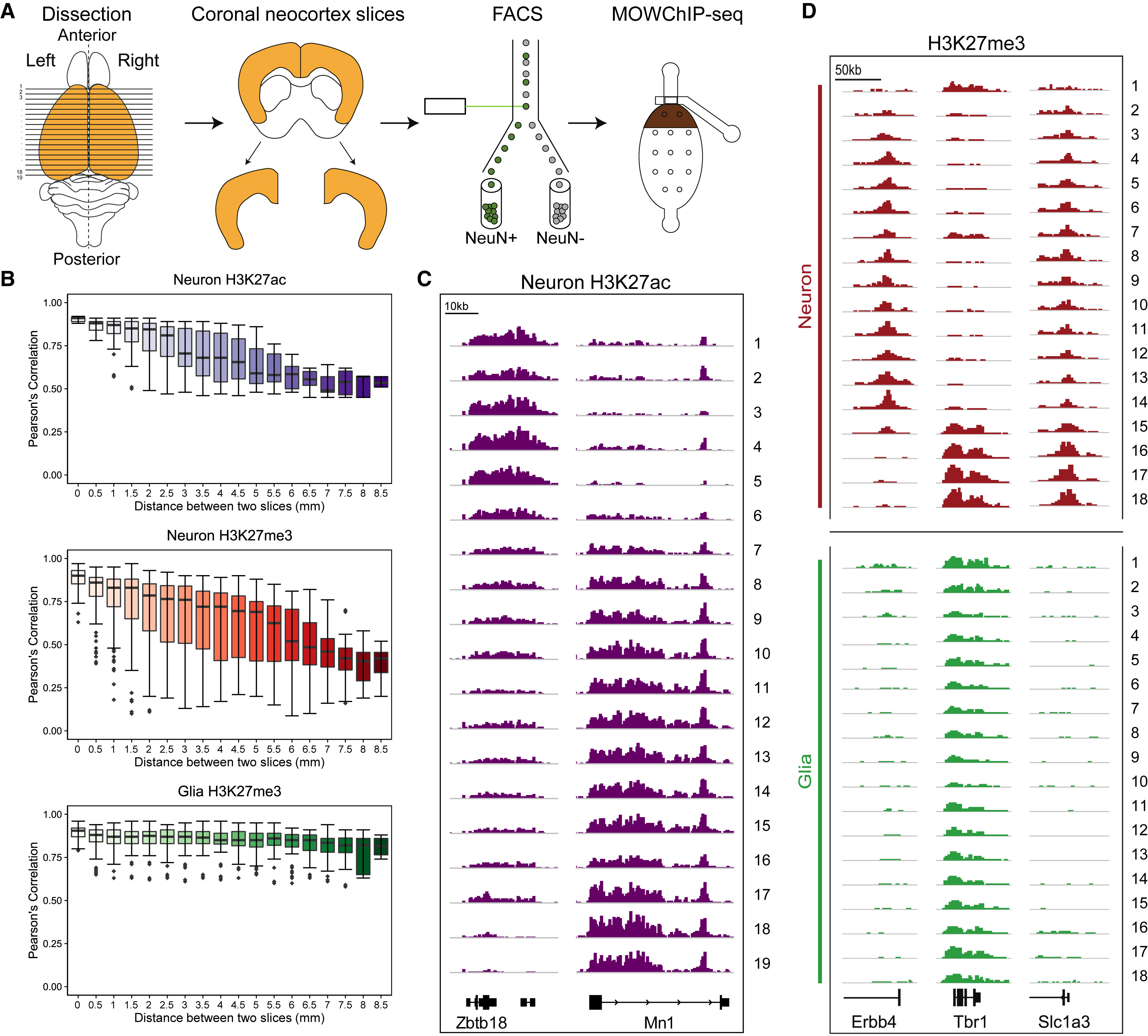 Figure 2 from the epigenomic tomography paper