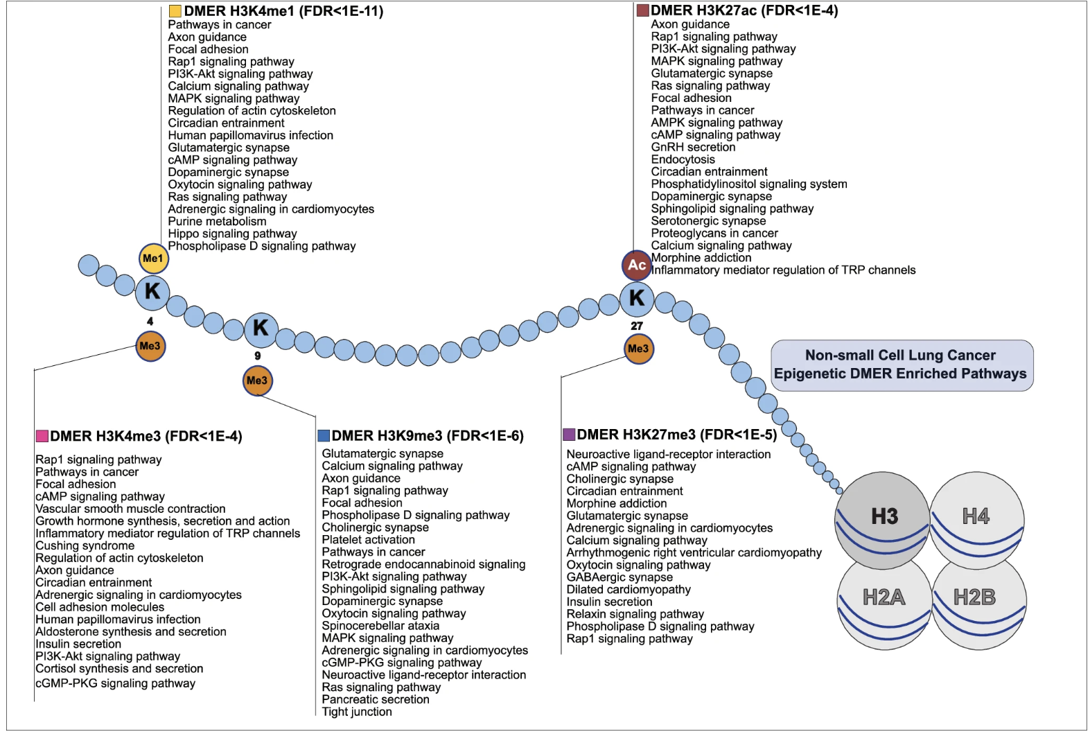 Figure 2 from the lung tumors multimodal profiling paper