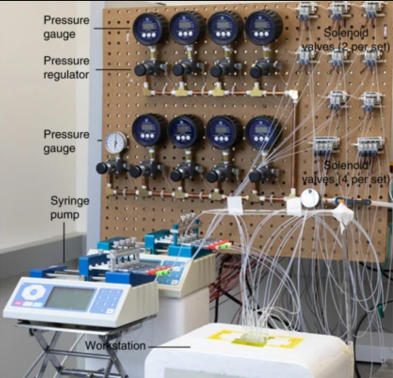 Figure from the 2019 Nature Protocols MOWChIP-seq paper