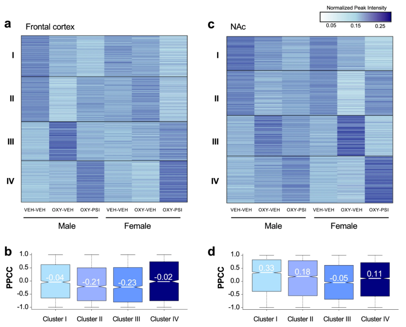 Figure from the 2025 Nature Communications psilocybin paper