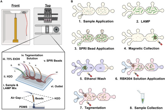 Figure 2 from the point-of-care viral genome sequencing paper